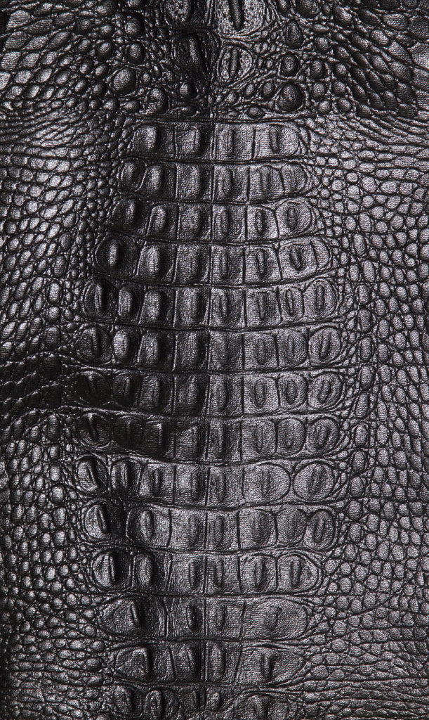 Pray For Us Bomber - Dolores Haze